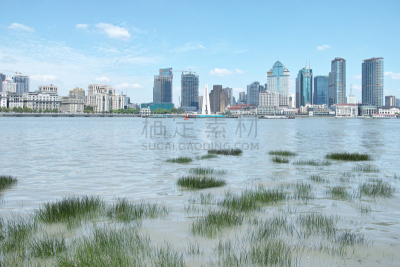 黄浦江,现代,上海,办公室,水,天空,水平画幅,无人,滨水,都市风景