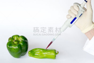 椒类食物,再结合,水平画幅,科学实验,科学,实验室,转基因,危险,农业,蔬菜