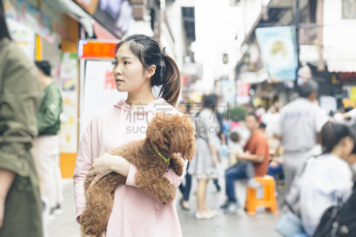 旅游目的地,小狗,拿着,太阳穴,女人,江苏省,商店,仅成年人,哺乳纲,青年人