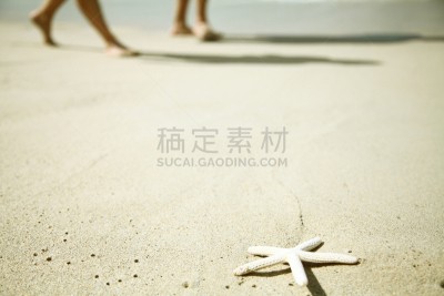 海滩,普通海星,威基基,檀香山,瓦胡岛,留白,度假胜地,水平画幅,沙子,透视图