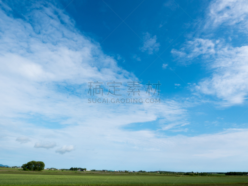 天空,蓝色,田地,六月,水平画幅,绿色,无人,日本,户外,北海道