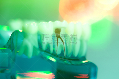 牙医,人的嘴,口腔卫生,人的牙齿,模型,人造的,假牙,水平画幅,使用嘴巴,干净