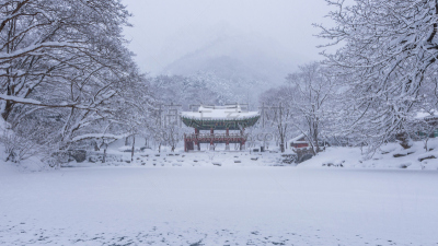 雪,韩国,山,冬天,地形,名声,寺庙,褐色,沟壑,水平画幅