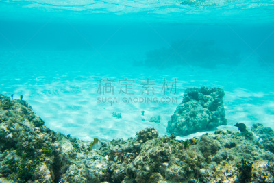 蝴蝶鱼,颊纹鼻鱼,水,澳大拉西亚,水下,野外动物,新喀里多尼亚,白色,礁石,海滩