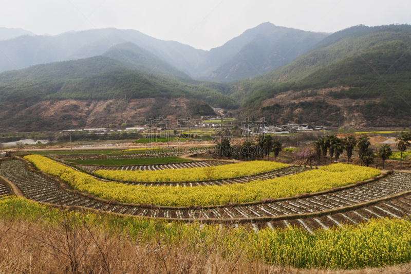 乡村,农场,纳西族,自然,水平画幅,地形,无人,户外,春天,植物