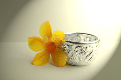 小的,银色,自然,式样,水平画幅,无人,粉红蝉,厨房器具,一个物体,闪亮的