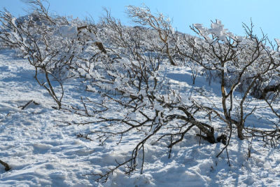 雪,有包装的,冰,自然,万代山,风景,图像,福岛县,春天,无人