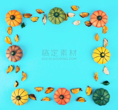 南瓜,华丽的,边框,叶子,留白,乡村风格,图像,布鲁克林庆典,农作物,短马鞭