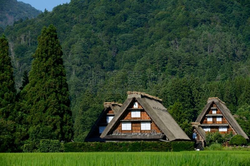 白川乡,世界遗产,里山,旅游目的地,水平画幅,无人,乡村,日本,夏天,户外