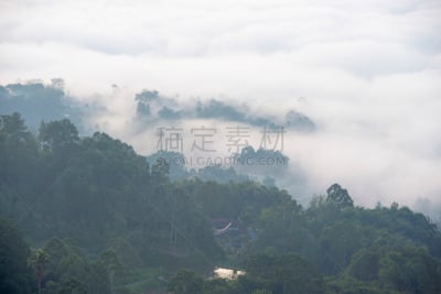 稻田,雾,早晨,格林威治村,有包装的,亚洲,自然,乡村,锥形帽,风