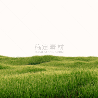 完美,白色,田地,绿色,分离着色,无人,草坪,夏天,草,刀刃草