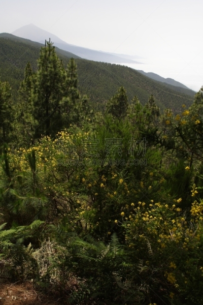 云景,世界遗产,云,皮可德泰德山,沙漠,自然荒野区,户外,一见钟情,符号,富埃特文图拉岛