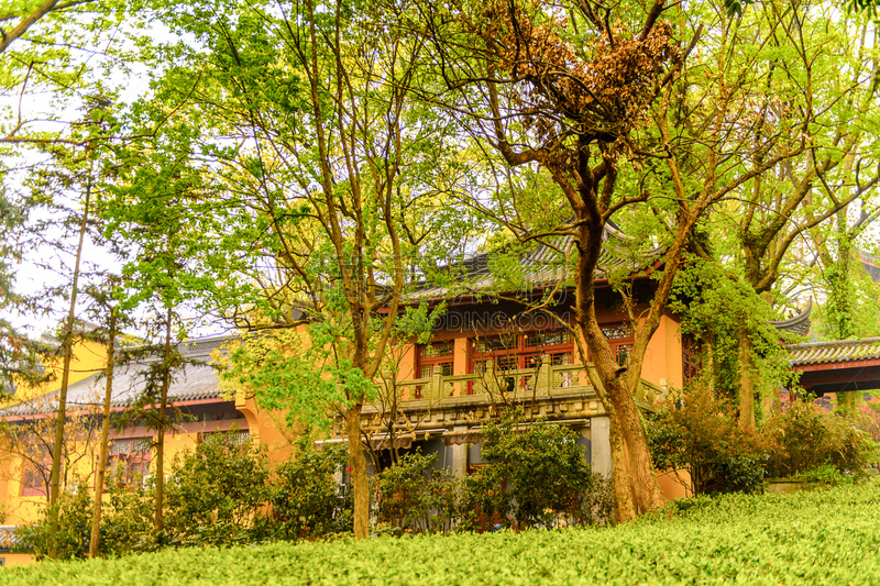 佛,最大,寺庙,灵性,复杂性,灵隐寺,贞德