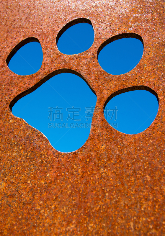 野生猫科动物,墙,爪子,金属,生锈的,动物脚趾,二氧化碳,单层台阶,痕迹,垂直画幅