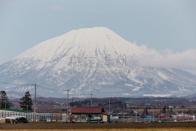 日本,北海道,黄色,休眠火山,腰部以下,山,,羊蹄山,草,乡村
