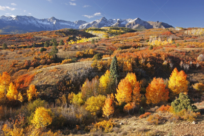 科罗拉多州,Uncompahgre National Forest,达拉斯市,天空,水平画幅,雪,无人,户外,山,分割