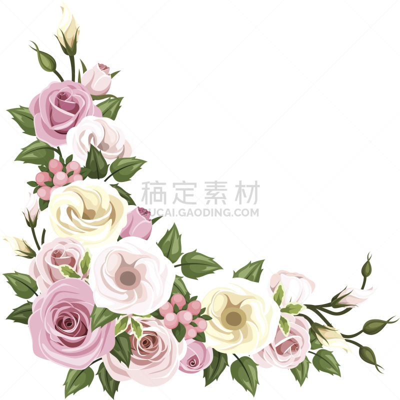 玫瑰,lisianthus,角落,矢量,背景,美,边框,绘画插图,古典式,晕影效果