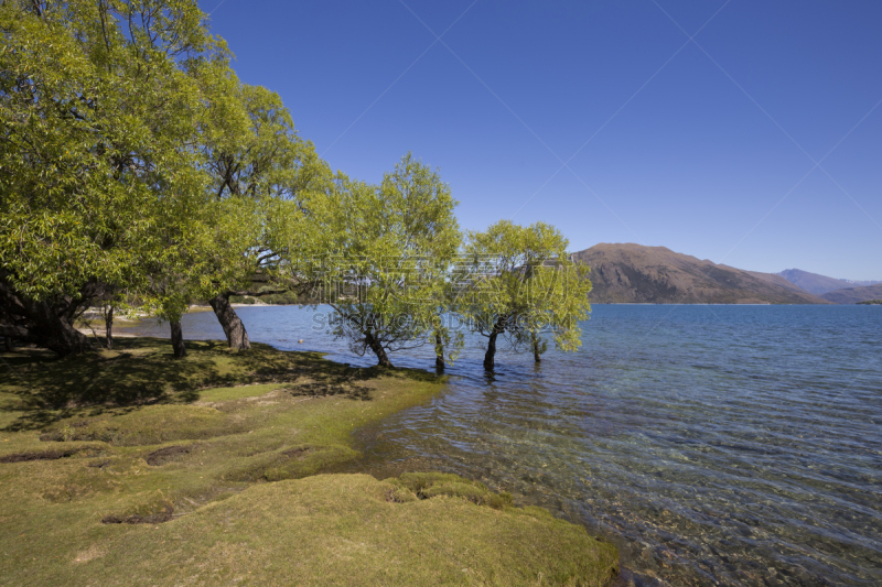 都柏林湾,新西兰,瓦纳卡湖,水,天空,美,水平画幅,夏天,户外,湖