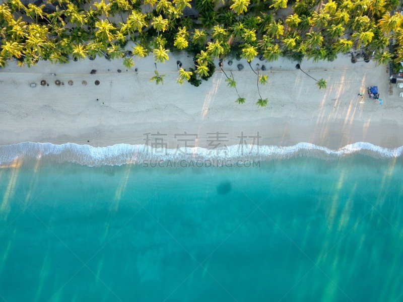 缅甸,棕榈树,海滩,在上面,直升机拍摄,无人机,波浪,水湾,户外,沙子