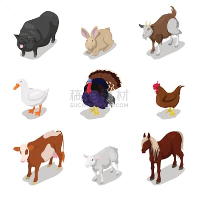 兔子,马,母牛,牲畜,艺术,无人,绘画插图,符号,鸟类,组物体