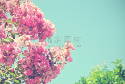 夹竹桃,天空,蓝色,粉色,阿尔梅里亚,亮色调,水平画幅,无人,古典式,夏天