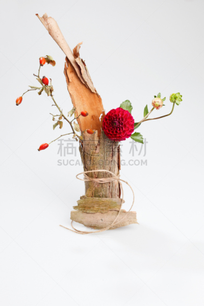 插花术,秋天,蔷薇果,野玫瑰果,垂直画幅,禅宗,艺术,无人,花蕾,枝