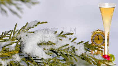 新年前夕,都市风光,扁柏属,落地大座钟,美国崖柏属树,柏树,白葡萄酒,横幅,午夜