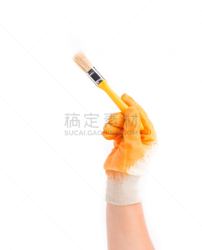 马桶刷,手套,手,拿着,后刷,垂直画幅,护手套,背景分离,涂料