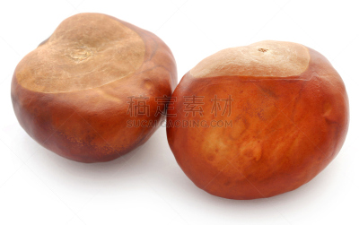 七叶树种子,清新,食品,植物,七叶树,背景,水果,孟加拉,荆棘,自然