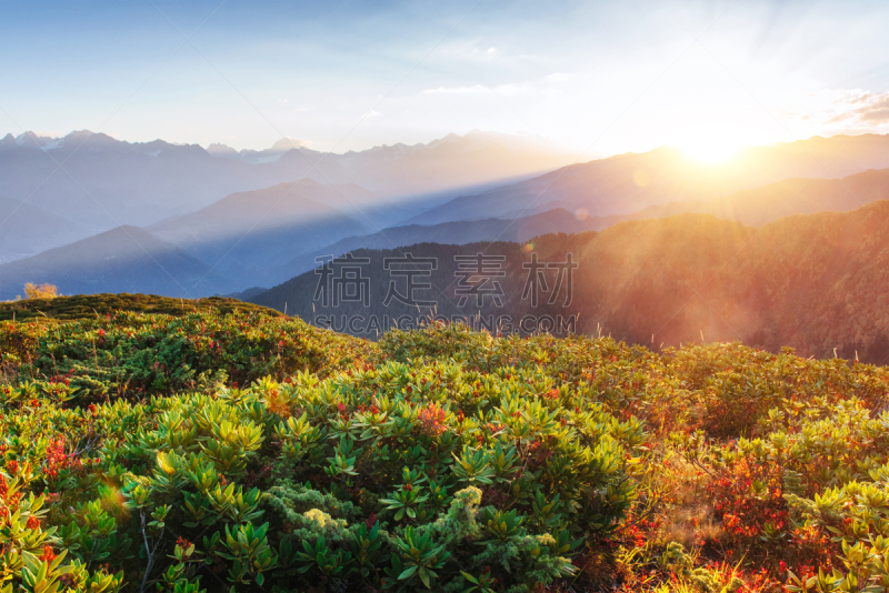 地形,秋天,看风景,山,格鲁吉亚,山顶,雪山,天空,雪,草