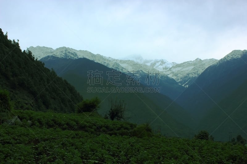 喜马拉雅山脉,草本,反差,印度草医学,水平画幅,山,雪,无人,性主题,工厂