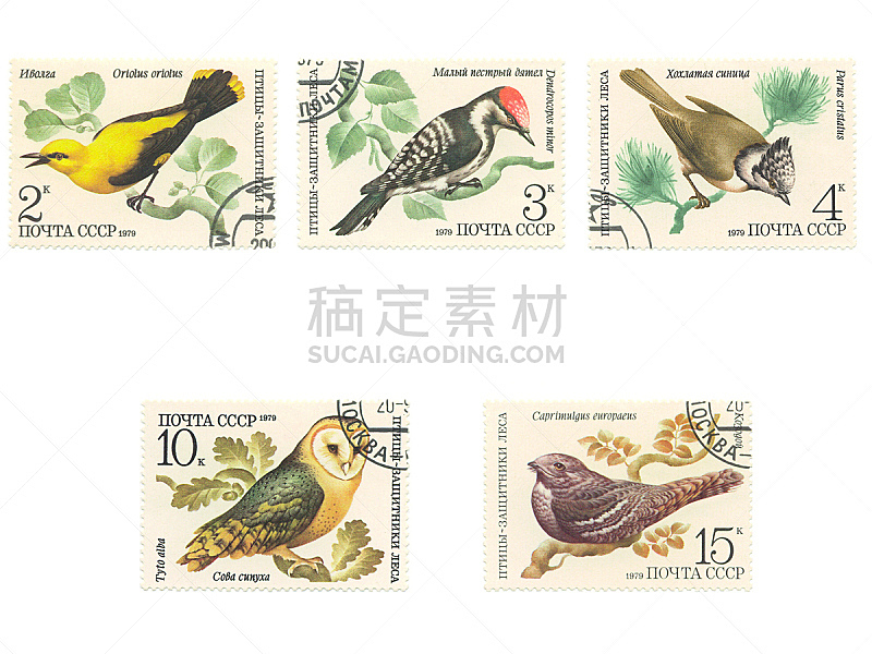 鸟类,俄罗斯,黄鹂,啄木鸟,水平画幅,无人,猫头鹰,邮戳,信函