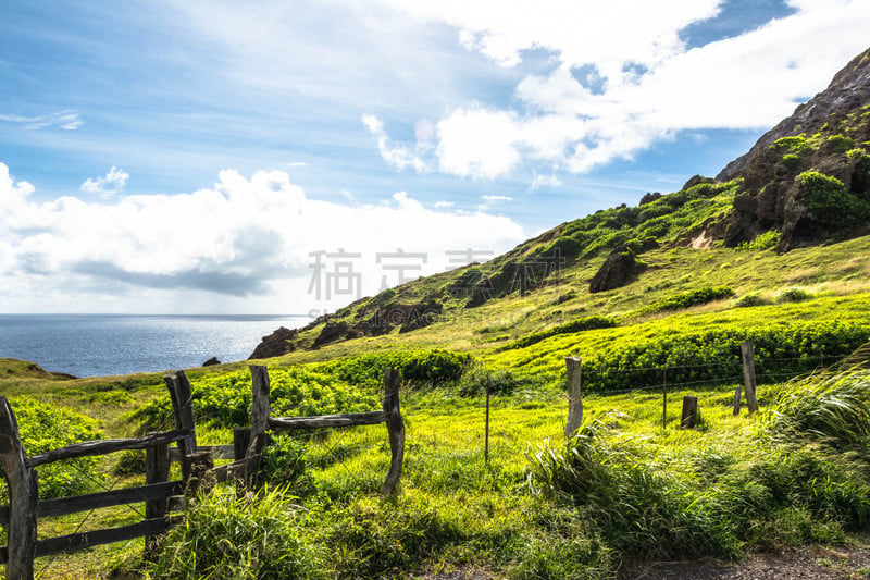 毛伊岛,夏威夷,海岸线,风景,威陆库河,尖栅栏,水,美国,水平画幅,绿色