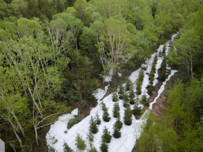 在底端,水平画幅,木制,雪,无人,户外,北海道,山脉,活火山,十胜岳