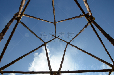 云杉,茎,建筑业,水平画幅,无人,木制,特写,联席会议,建筑结构,工程