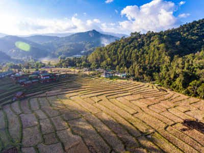米,地形,房屋,梯田,风景,自然美,心脏移植术,移植手术,水稻梯田,缅甸