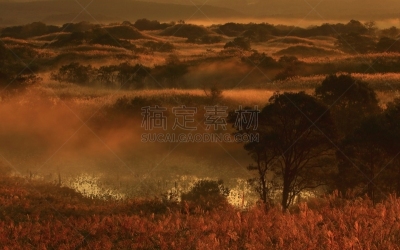 黎明,湿地,水,天空,草原,水平画幅,无人,早晨,沼泽,户外