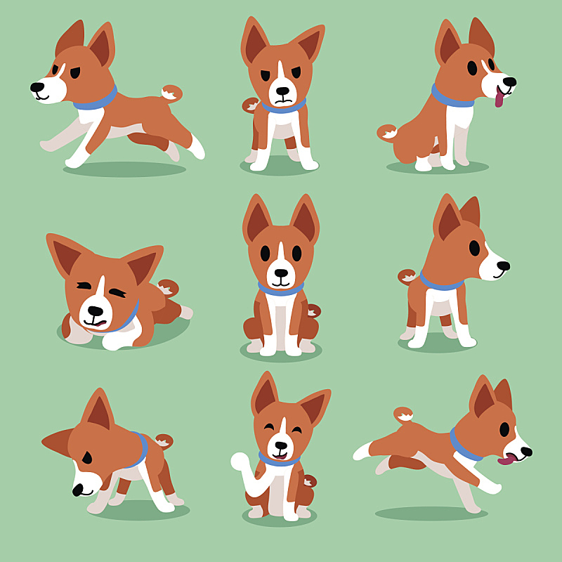 巴辛吉 狗 注视镜头 动画片 可爱的 纯种犬 背景分离 肖像 坐 行动图片素材下载 稿定素材