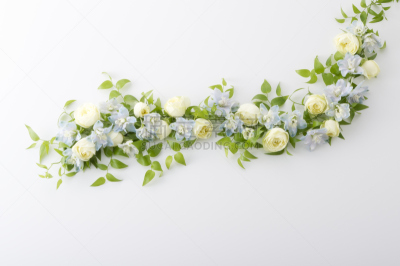 白色,玫瑰,蓝盆花,留白,有蔓植物,水平画幅,无人,蓝色,白色背景,摄影
