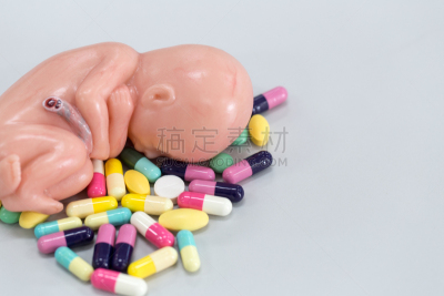 健康保健,动物胎儿,模型,教室,胚胎,烟曲霉菌,莫尔德,细菌垫,青霉菌,琼脂
