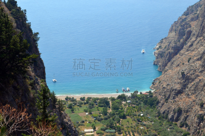 海滩,山谷,桃金娘山毛榉,滩头岬,东苏塞克斯,水平画幅,无人,山毛榉树,户外,棕榈树