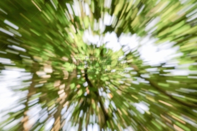 迅速,绿色,前景聚焦,迅速变焦效果,藻青菌,搅拌机,电子人,迷幻色,迷幻艺术,水平画幅