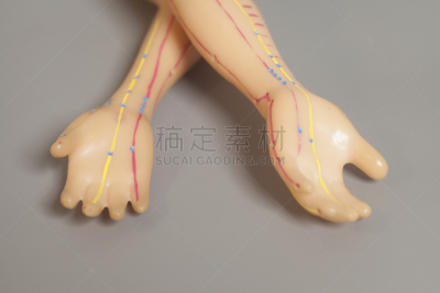 针灸模型,健康保健,手,灰色背景,针灸师,针灸,躯干,胸部,替代疗法,辅导讲座