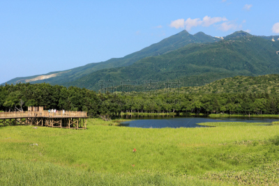 知床五湖,知床山,知床半岛,水蛭,夏令时,草原,水,天空,美,里山