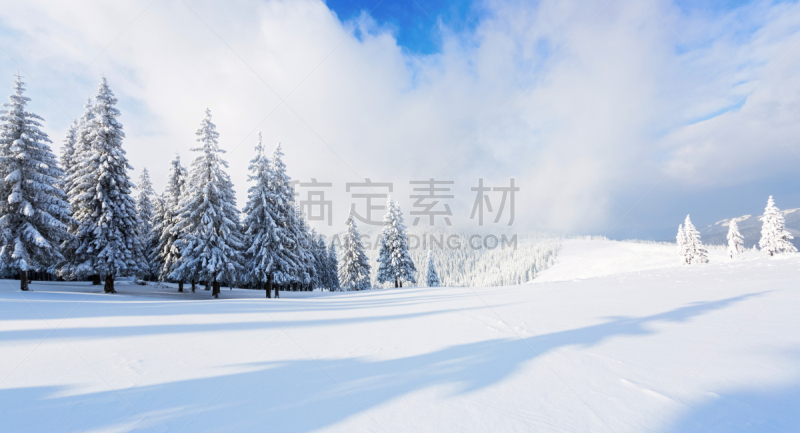 云,白色,全景,宏伟,山,雪,草坪,天空,开着的,树