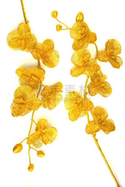金色,枝,自然,垂直画幅,黄金,艺术,无人,情人节,符号,抽象