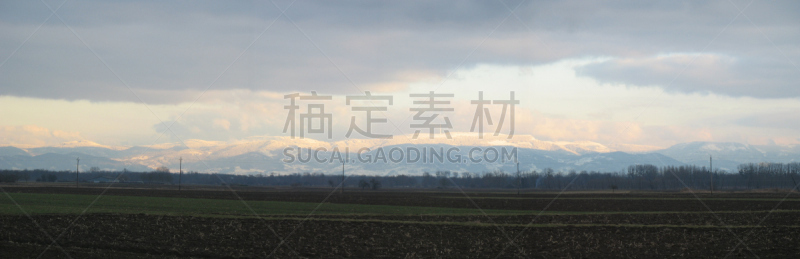 冬天,孚日省,黑森林,阿尔萨斯,让路标志,耕地,耕犁,草原,水平画幅,无人