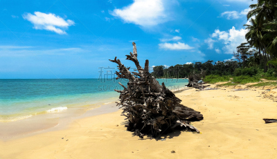 海滩,海港,2004印度洋地震海啸,被连根拔出,安达曼群岛,安达曼海,水,天空,水平画幅,沙子