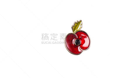 符号,红色,阵亡将士纪念日,图钉,接力赛,胸针,英国,纪念物,美,水平画幅