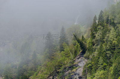 山,破碎的,美国山桂,飙摩托车者,水平画幅,雪,夏天,户外,山地车,运动员